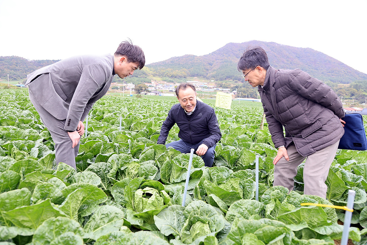 KREI, 김장배추 주산지 현장토론회 개최 이미지